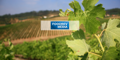 Foodbev Media - Seedrs  - copy