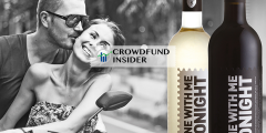 Crowdfund Insider- Seedrs 2